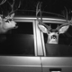 Illustration for article titled How To Avoid Hitting A Deer With Your Car
